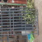 شبوك غنم وشبوك ابل للبيع