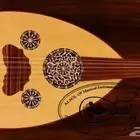 عود موسيقي