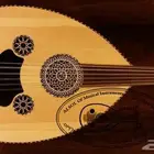 عود للبيع - عود كهربائي موسيقي
