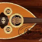 عود موسيقي للبيع