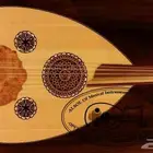 عود كهربائي موسيقي للبيع - عود الكتريك