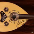 عود للبيع - اعواد للبيع