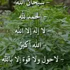 توصيل مشاوير داخل وخارح حائل سياره هايلكس غماره