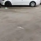 النتراء 2013 جير عادي ماشي260