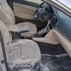 النتراء