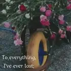 زهره القرنفل البلدي