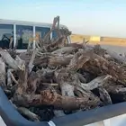 ح ط. ب طلح ف عفيف