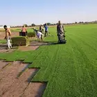 ثيل الخرج ضمان و جودة