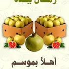 رمان الباحه (بيده) الفاخر