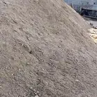دفان - بطحاء - قلاب سكس
