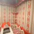 القصيم  المذنب