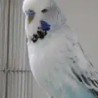 أزواج منتجه عرض يوم الجمعه فقط