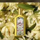 عطور عطور تجميل بخور عود باسعار الجمله الحبه بسعر الجمله
