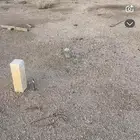 للبيع في دحال الخيل