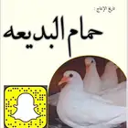 حمام فرنسي