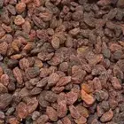 ياأهل الحلال يوجد زبيب عنب للغنام مفيد جدا افضل من الشعير و