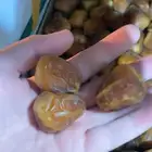 تمر رطب سكري اصفر