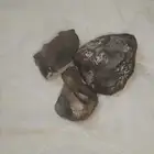 احجار للبيع