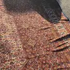 زل بلجيكي قديم 5 في 3