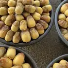 تمر حوطة بني تميم