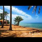 نوفر لكم جميع الأسماك الطازجة