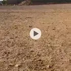 أرض المشاعله من المالك مباشره