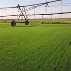 ثيل الخرج جودة استلام استشاري