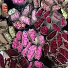 ورد جمله
