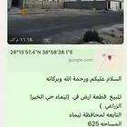 للبيع تيماء