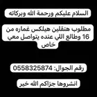 مطلوب هنقلين