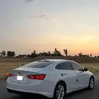 ماليبو 2019