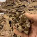 كلمنتان مالينو فاخرر منوة المقتني