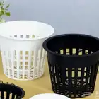 كاسات الزراعة المائية