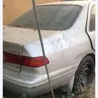 الطايف عشيره