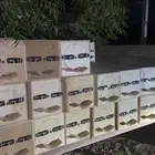 خلايا محايليه فاضيه للبيع