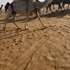 خلفه وضحا تحتها بكره عمرها 3 شهور طيبه