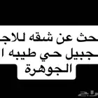 احتاج شقه للاجار في الجبيل البلد