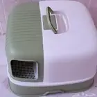ليتربوكس قط