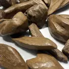 عود طبيعي موروكي وسومطري