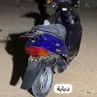 دباب بطه لبيع