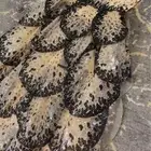 فستان ديور للبيع