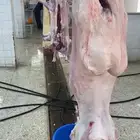 ذبايح مع السلخ والتوصيل