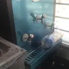 المصنع العربي الدولي يوجد برادات السبيل 3 بزبوز زمزم الدولي