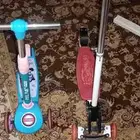 سكتور و جكارو