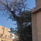 كاميرات مراقبه وصيانة وتركيب