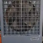 كيف صحراوي جنرال كلاس