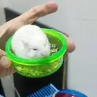 هامستر للبيع مع اغراضهم