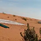 ليالي الحفلات والمناسبات