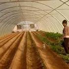 مقاول شبوك ومحميات زراعيه ومضلات
