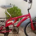 ام السهم